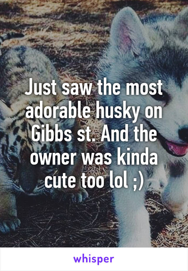 Just saw the most adorable husky on Gibbs st. And the owner was kinda cute too lol ;)