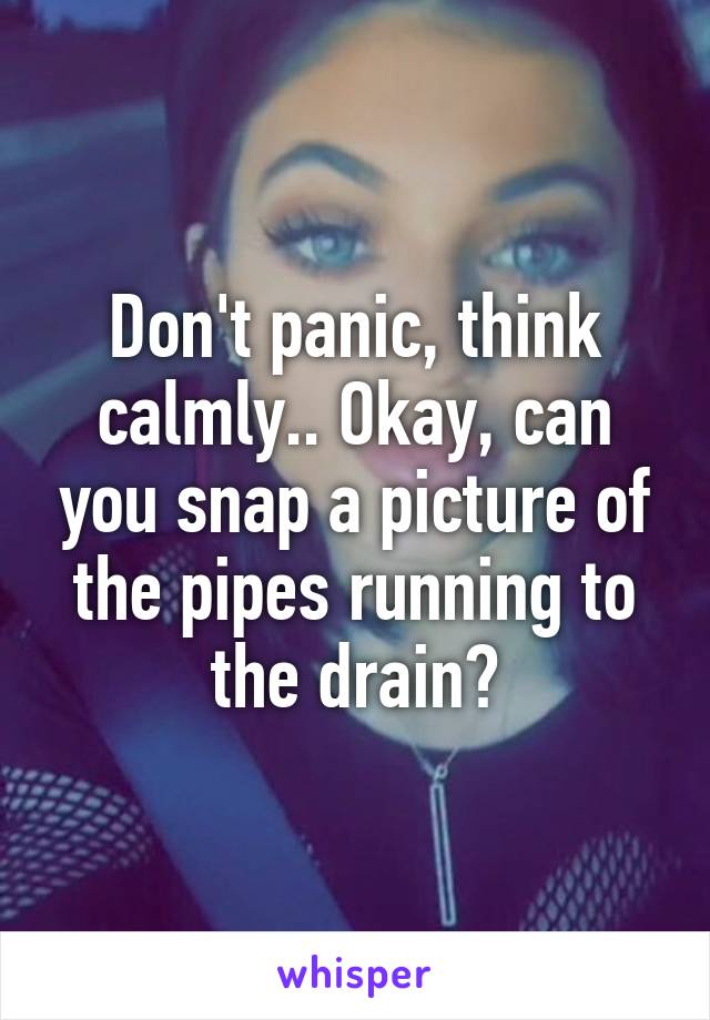 Don't panic, think calmly.. Okay, can you snap a picture of the pipes running to the drain?