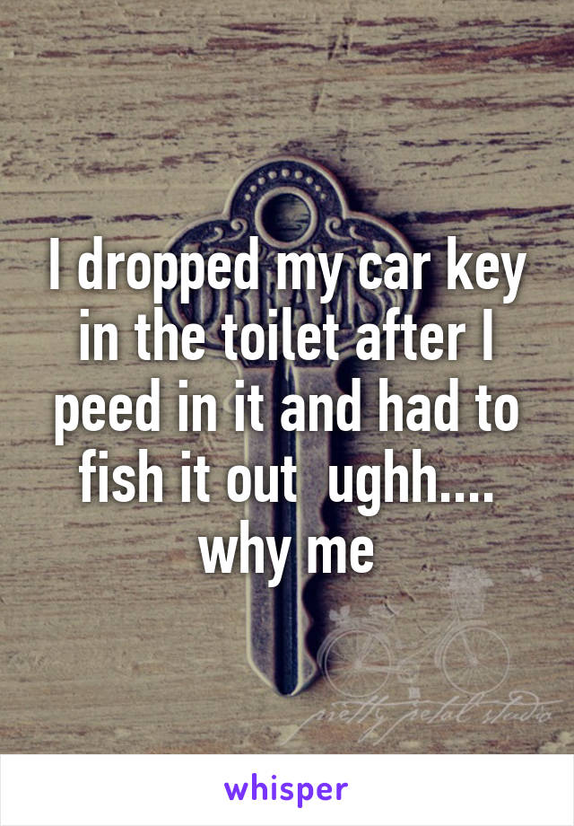 I dropped my car key in the toilet after I peed in it and had to fish it out  ughh.... why me