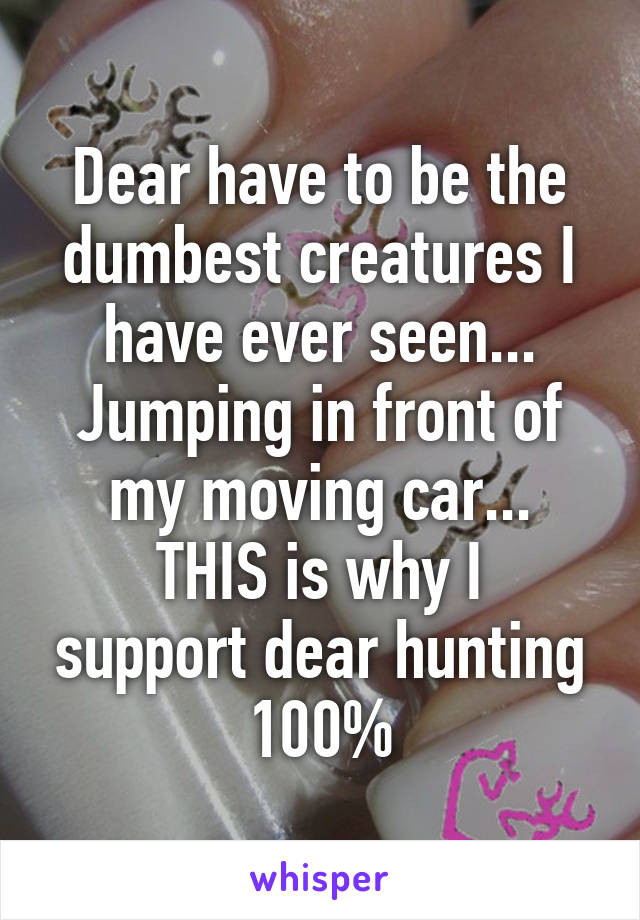 Dear have to be the dumbest creatures I have ever seen...
Jumping in front of my moving car...
THIS is why I support dear hunting 100%