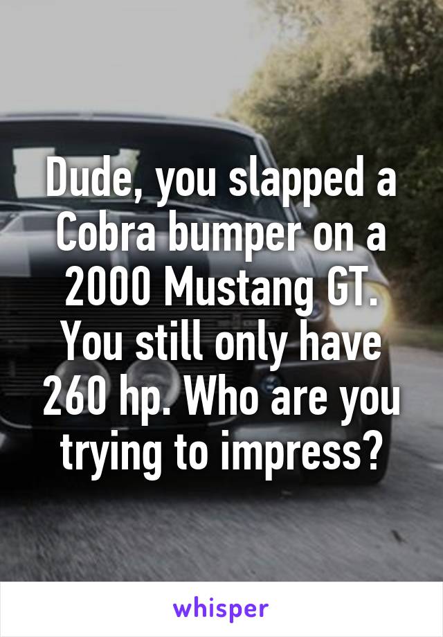 Dude, you slapped a Cobra bumper on a 2000 Mustang GT. You still only have 260 hp. Who are you trying to impress?