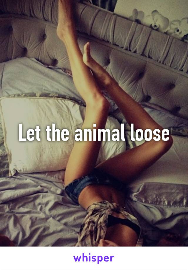 Let the animal loose