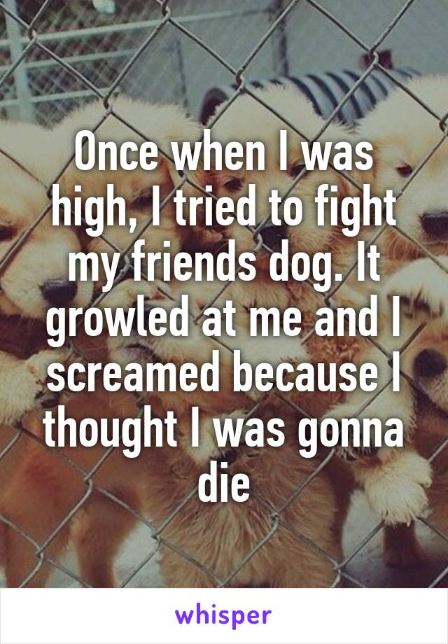 Once when I was high, I tried to fight my friends dog. It growled at me and I screamed because I thought I was gonna die