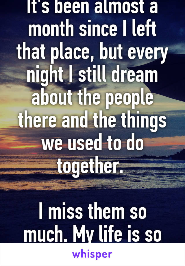 It's been almost a month since I left that place, but every night I still dream about the people there and the things we used to do together. 

I miss them so much. My life is so shit back here. 