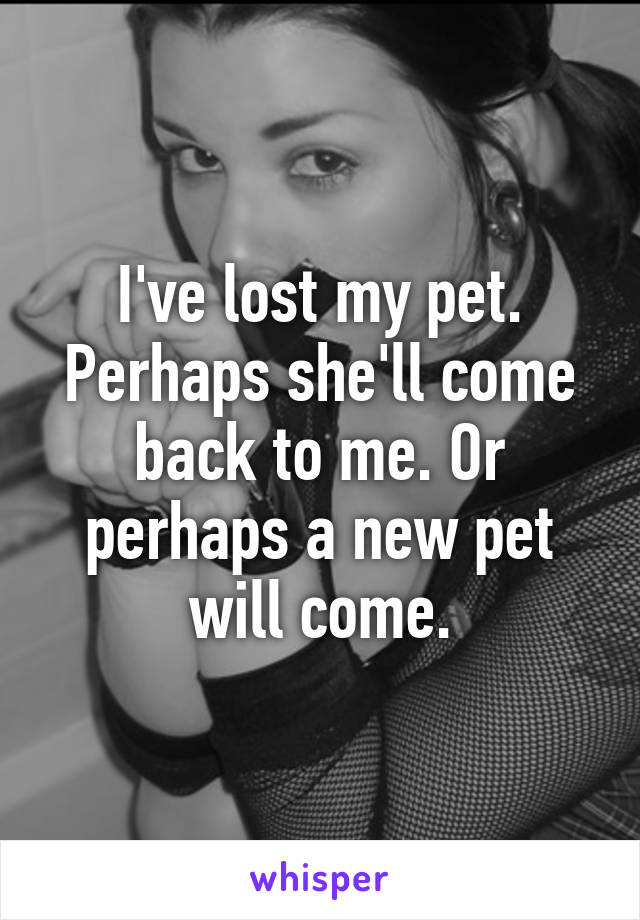 I've lost my pet. Perhaps she'll come back to me. Or perhaps a new pet will come.