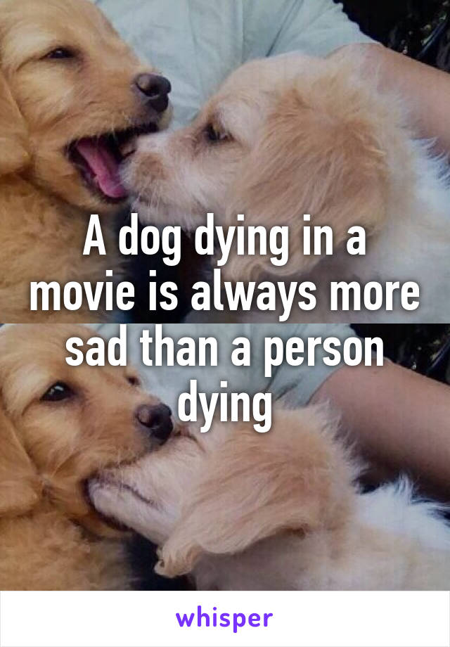 A dog dying in a movie is always more sad than a person dying