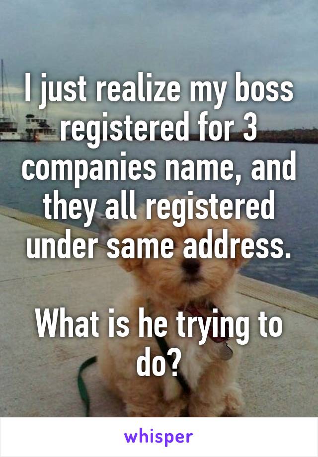 I just realize my boss registered for 3 companies name, and they all registered under same address.

What is he trying to do?