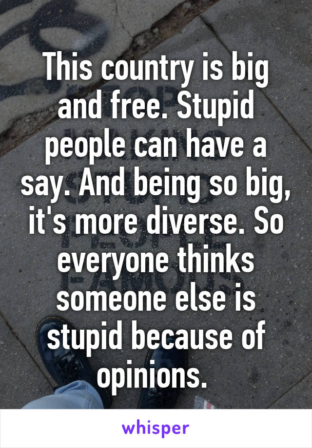 This country is big and free. Stupid people can have a say. And being so big, it's more diverse. So everyone thinks someone else is stupid because of opinions. 