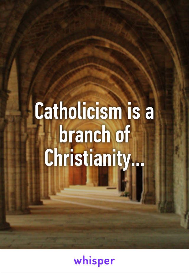 Catholicism is a branch of Christianity...