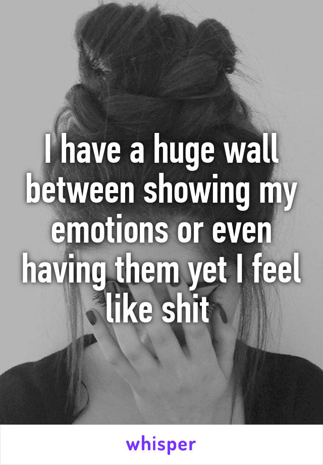 I have a huge wall between showing my emotions or even having them yet I feel like shit 