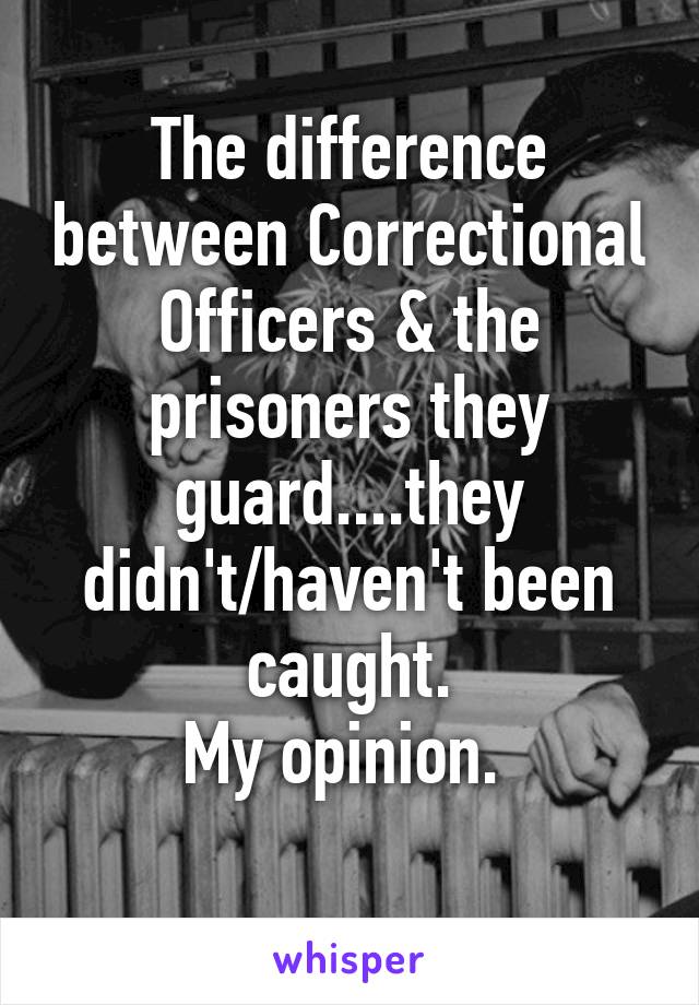 The difference between Correctional Officers & the prisoners they guard....they didn't/haven't been caught.
My opinion. 
