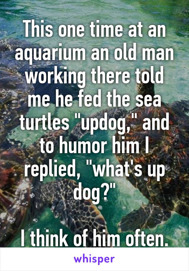 This one time at an aquarium an old man working there told me he fed the sea turtles "updog," and to humor him I replied, "what's up dog?"

I think of him often.