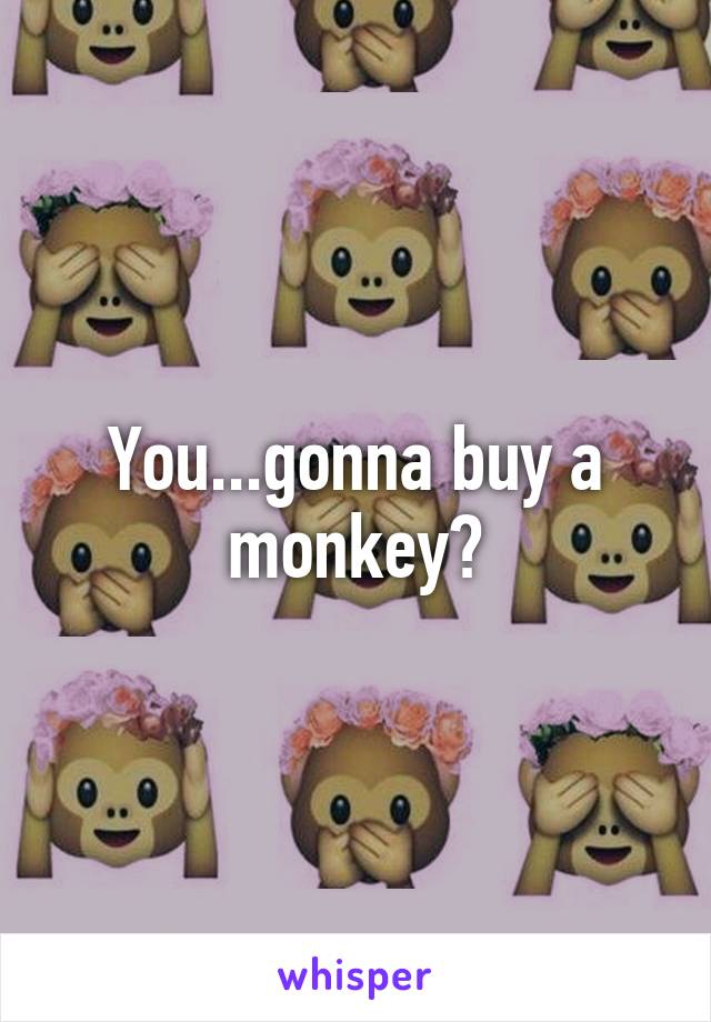 You...gonna buy a monkey?