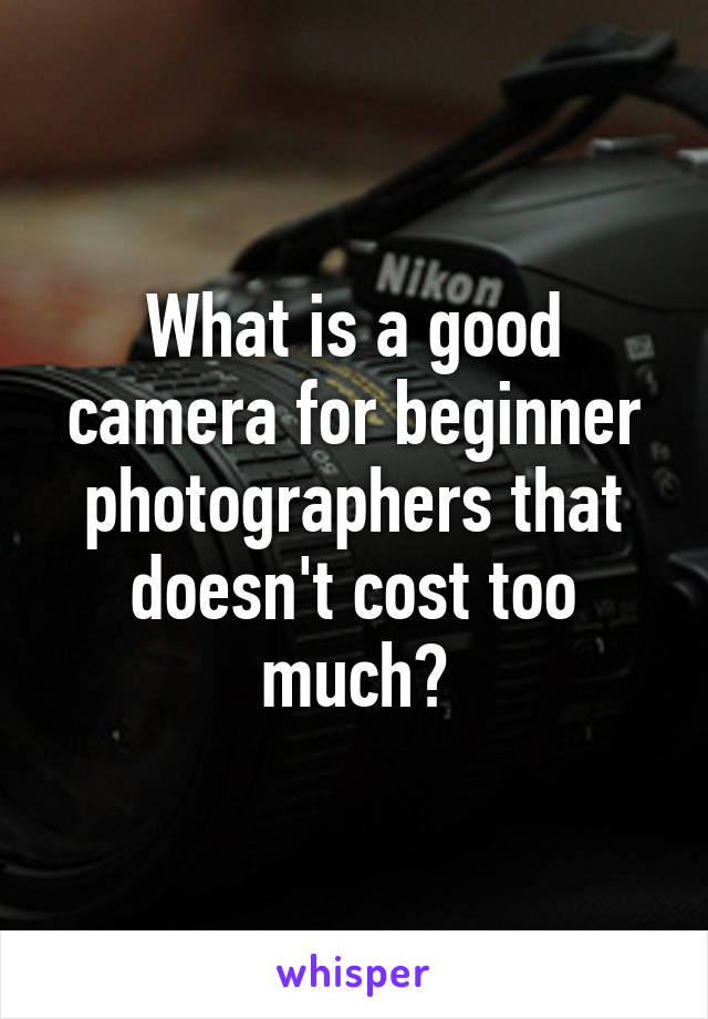 What is a good camera for beginner photographers that doesn't cost too much?