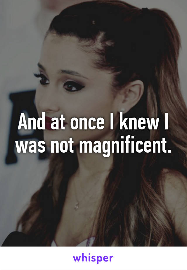 And at once I knew I was not magnificent.