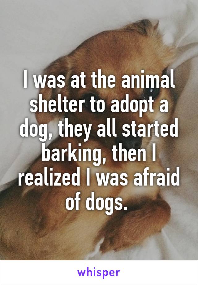 I was at the animal shelter to adopt a dog, they all started barking, then I realized I was afraid of dogs. 