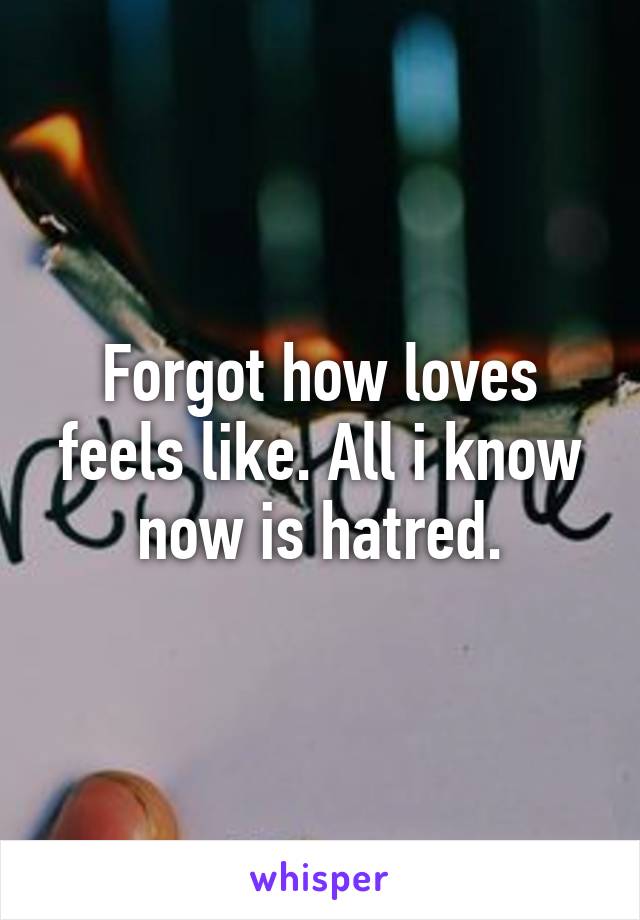 Forgot how loves feels like. All i know now is hatred.