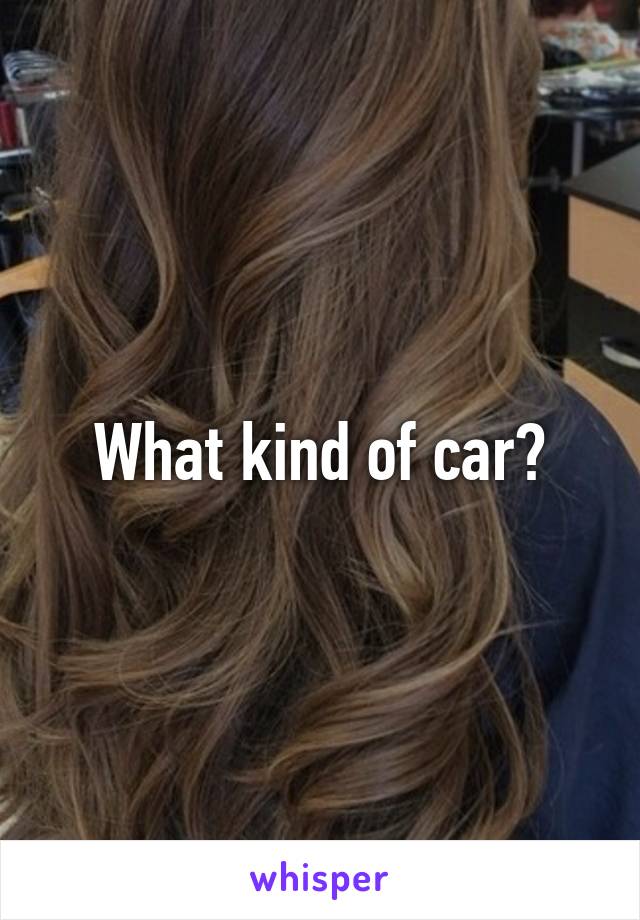 What kind of car?