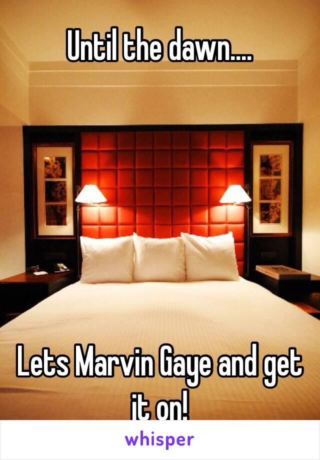 Until the dawn....






Lets Marvin Gaye and get it on!