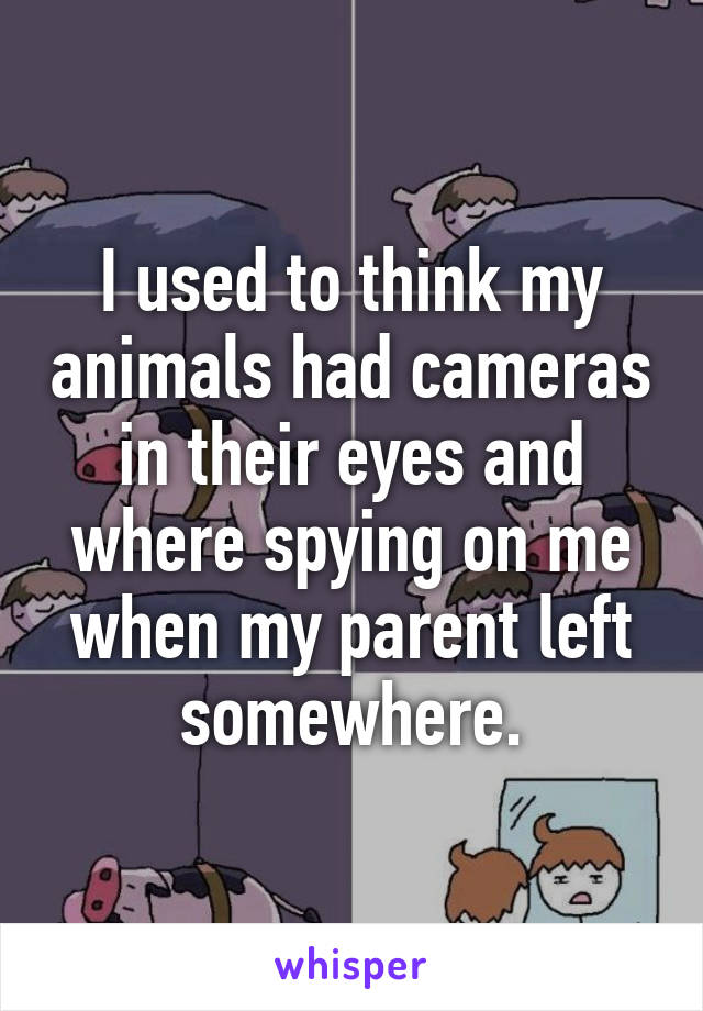 I used to think my animals had cameras in their eyes and where spying on me when my parent left somewhere.