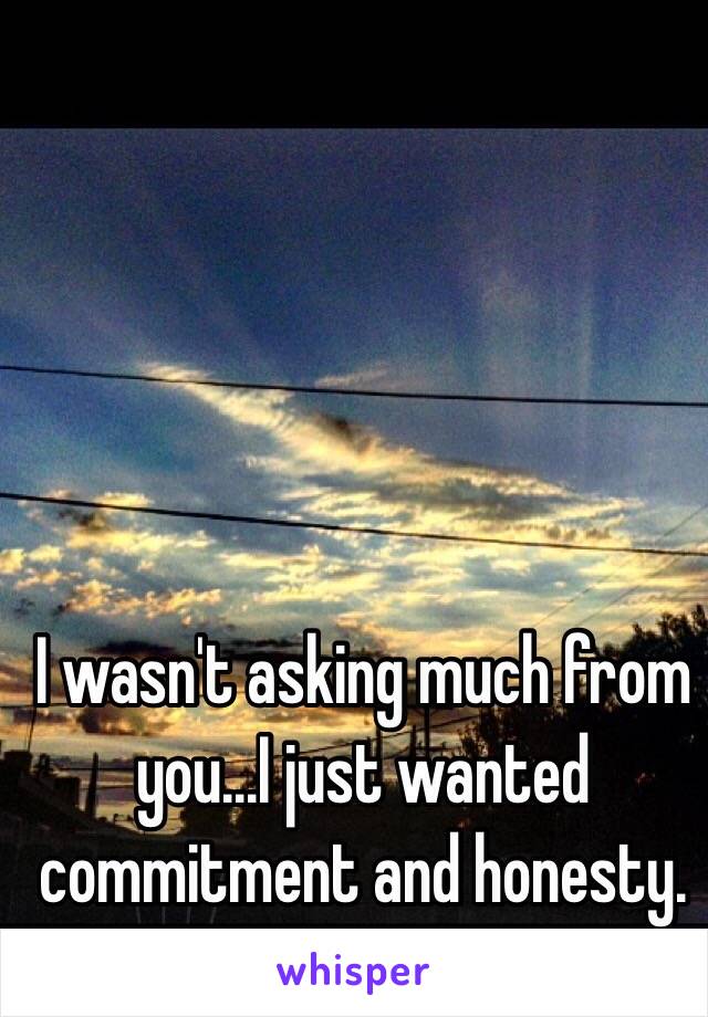 I wasn't asking much from you...I just wanted commitment and honesty.