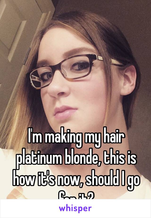 I'm making my hair platinum blonde, this is how it's now, should I go for it?