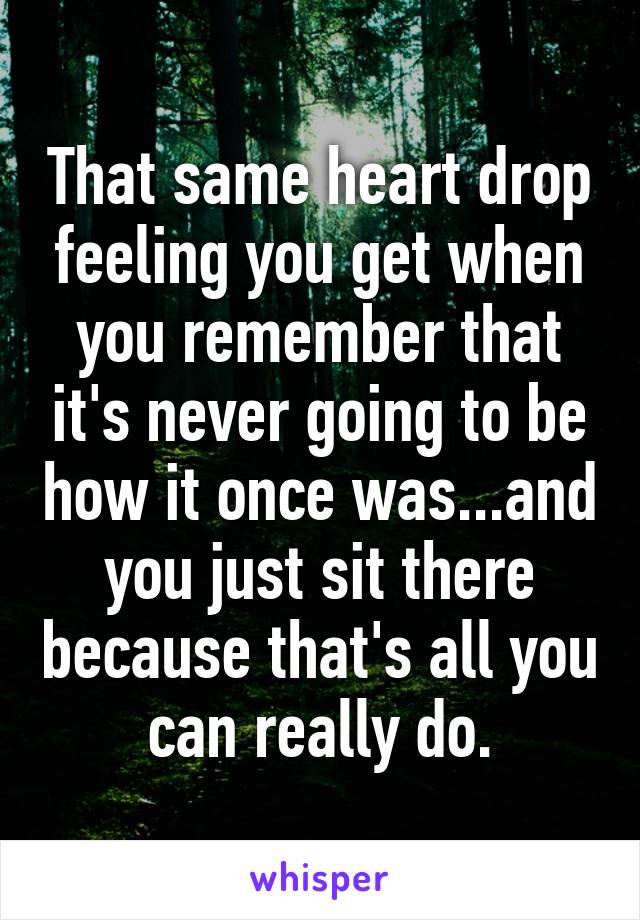 That same heart drop feeling you get when you remember that it's never going to be how it once was...and you just sit there because that's all you can really do.