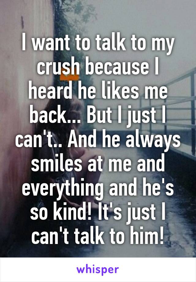 I want to talk to my crush because I heard he likes me back... But I just I can't.. And he always smiles at me and everything and he's so kind! It's just I can't talk to him!