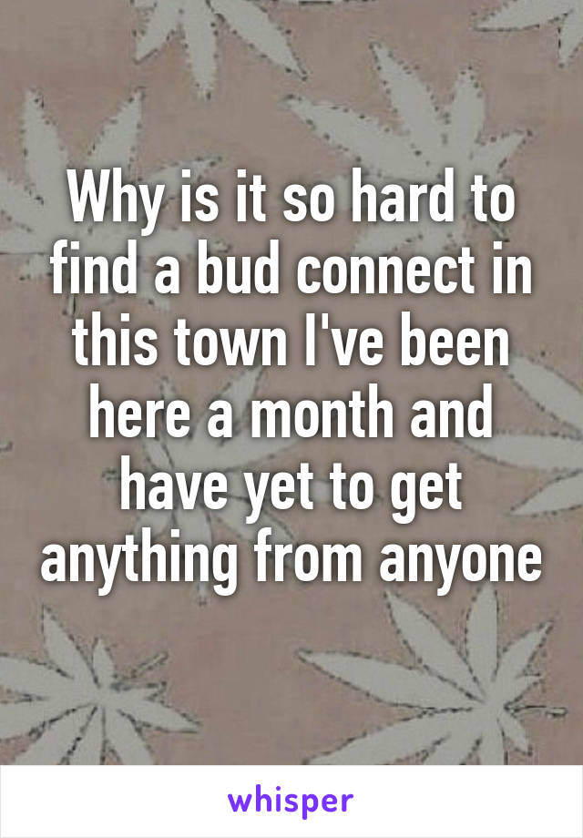 Why is it so hard to find a bud connect in this town I've been here a month and have yet to get anything from anyone 