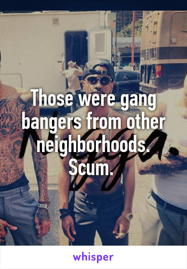 Those were gang bangers from other neighborhoods. Scum. 