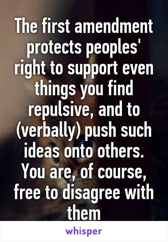 The first amendment protects peoples' right to support even things you find repulsive, and to (verbally) push such ideas onto others. You are, of course, free to disagree with them