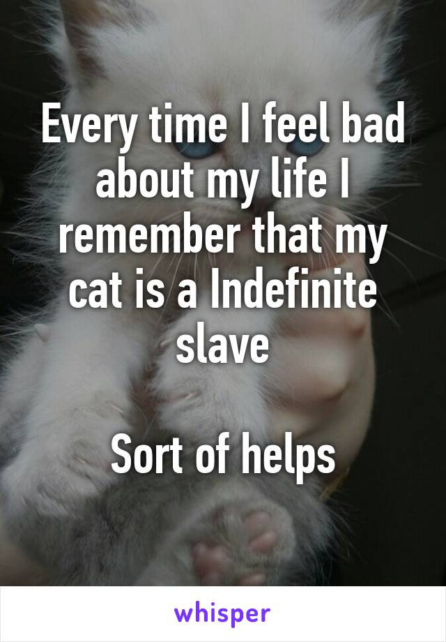 Every time I feel bad about my life I remember that my cat is a Indefinite slave

Sort of helps
