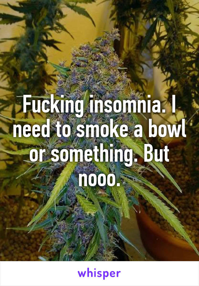 Fucking insomnia. I need to smoke a bowl or something. But nooo.