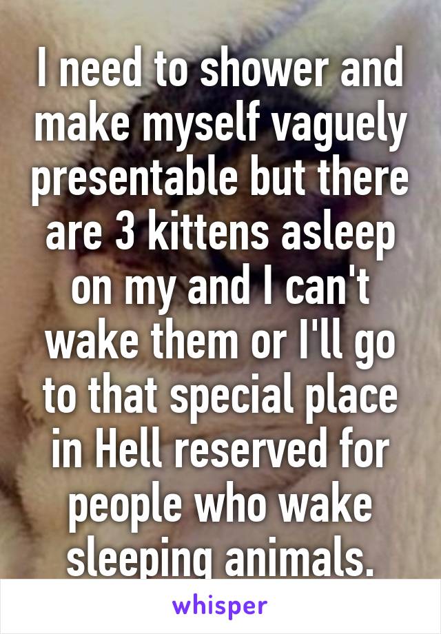 I need to shower and make myself vaguely presentable but there are 3 kittens asleep on my and I can't wake them or I'll go to that special place in Hell reserved for people who wake sleeping animals.