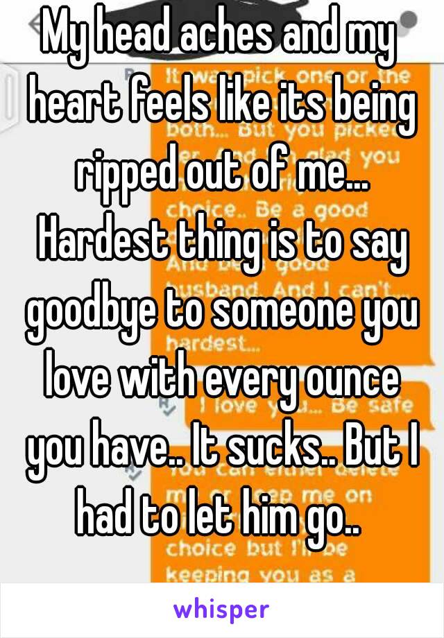 My head aches and my heart feels like its being ripped out of me... Hardest thing is to say goodbye to someone you love with every ounce you have.. It sucks.. But I had to let him go.. 