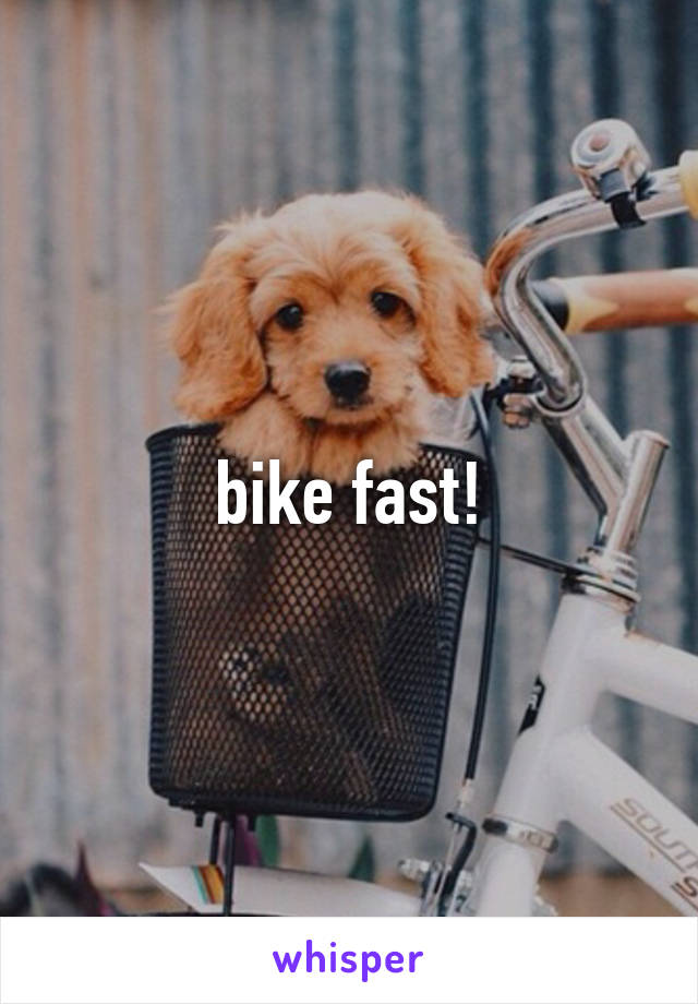 bike fast!