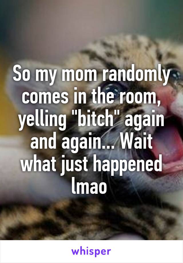 So my mom randomly comes in the room, yelling "bitch" again and again... Wait what just happened lmao 