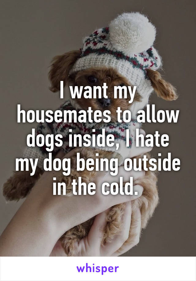 I want my housemates to allow dogs inside, I hate my dog being outside in the cold. 