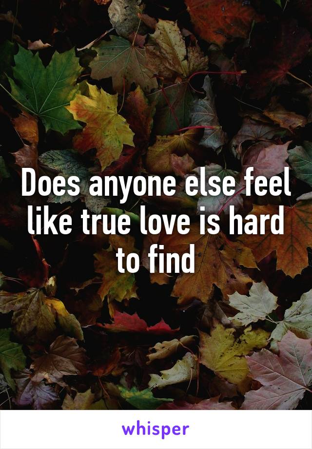 Does anyone else feel like true love is hard to find