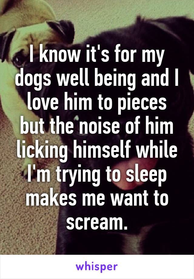 I know it's for my dogs well being and I love him to pieces but the noise of him licking himself while I'm trying to sleep makes me want to scream.