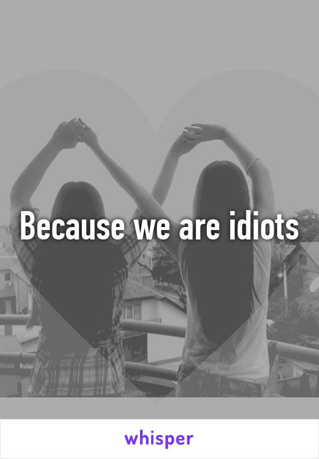 Because we are idiots