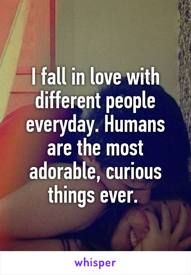 I fall in love with different people everyday. Humans are the most adorable, curious things ever. 