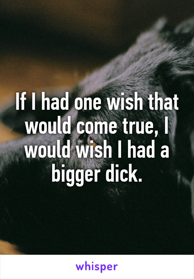 If I had one wish that would come true, I would wish I had a bigger dick.