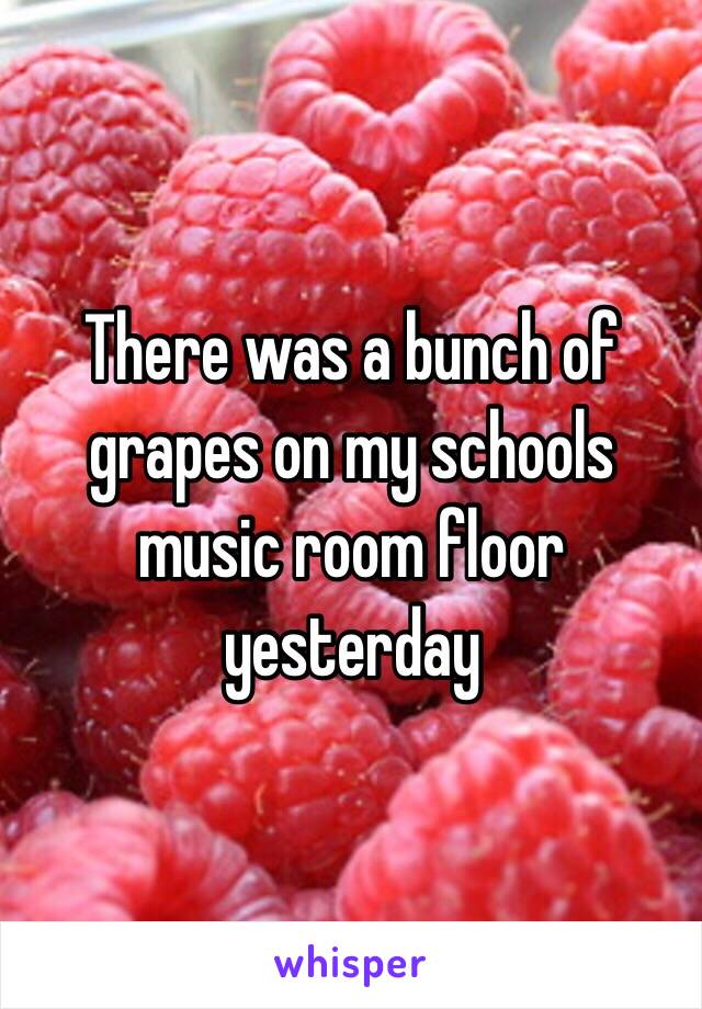 There was a bunch of grapes on my schools music room floor yesterday