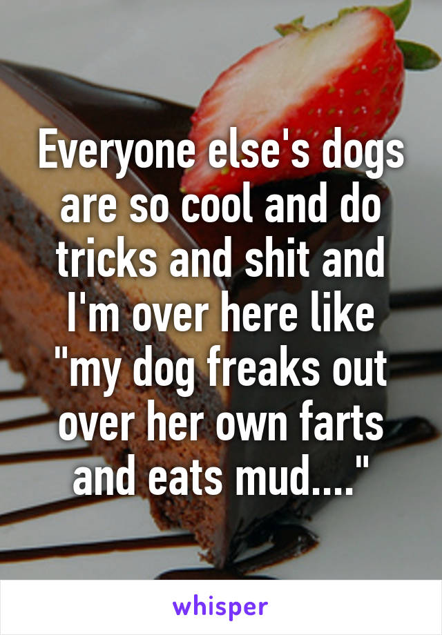 Everyone else's dogs are so cool and do tricks and shit and I'm over here like "my dog freaks out over her own farts and eats mud...."