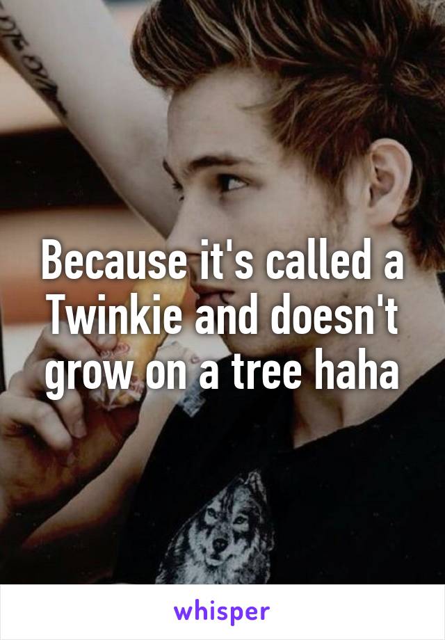 Because it's called a Twinkie and doesn't grow on a tree haha