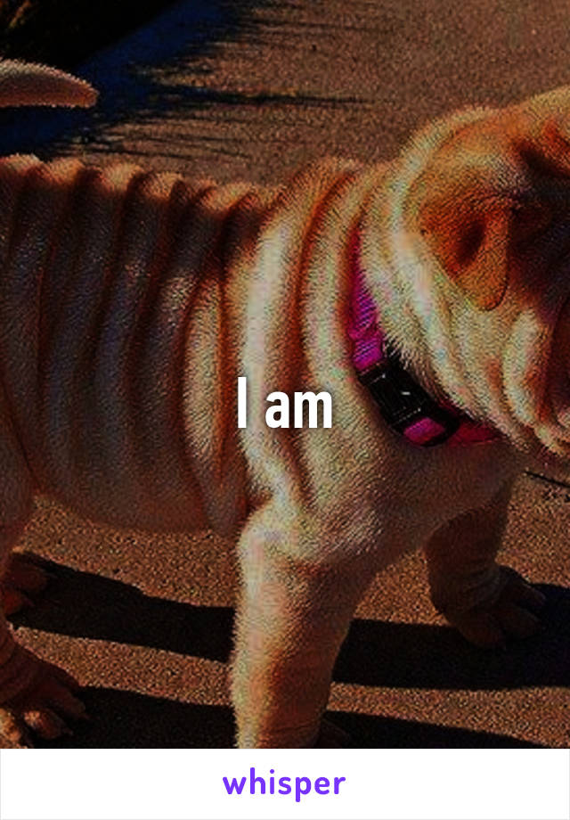 I am