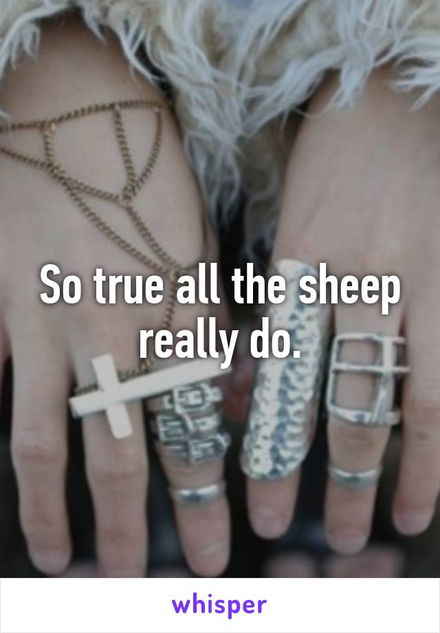 So true all the sheep really do.