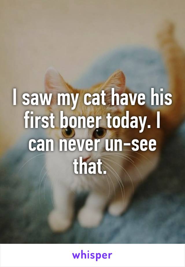 I saw my cat have his first boner today. I can never un-see that. 