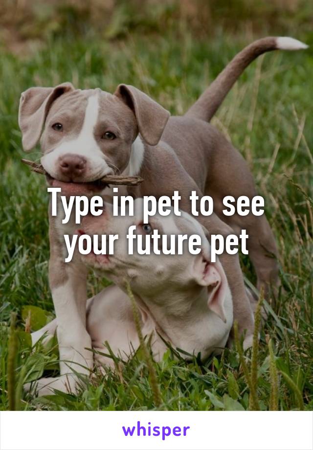 Type in pet to see your future pet